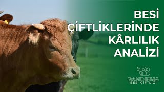 Besi Çiftliklerinde Kârlılık Analizi Nasıl Yapılmalıdır [upl. by Yltnerb7]