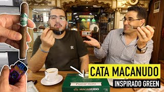 🔥Cata MACANUDO Inspirado GREEN  Cigar Specialist [upl. by Yorgerg815]