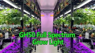 Best Grow Light for Vertical Farming Strawberries  Full Spectrum Grow Light Patented LensReflector [upl. by Nagiem]