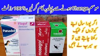 Kabootar Ki Proper Care Kaise Kare  How to Control Pigeon Diseases  Pigeon Day1 [upl. by Rosenberger865]