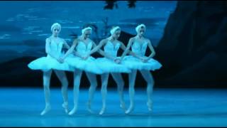 Swan Lake 23 11 2012 Mikhailovsky Theatre Solo Oboe [upl. by Onibag160]