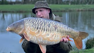 Catching a variety of carp on solid bags at Serpentine pool lymm anglers [upl. by Ettore731]