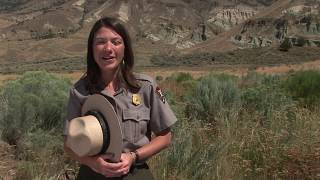 John Day Fossil Beds [upl. by Estren698]