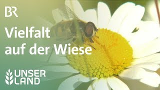 Regionale Wiesenvielfalt  Unser Land  BR Fernsehen [upl. by Aisercal]