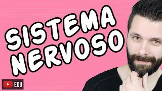 SISTEMA NERVOSO  FISIOLOGIA  Aula  Biologia com Samuel Cunha [upl. by Nydroj612]