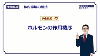 【生物基礎】 体内環境の維持40 ホルモンの作用機序（１３分） [upl. by Aranahs]