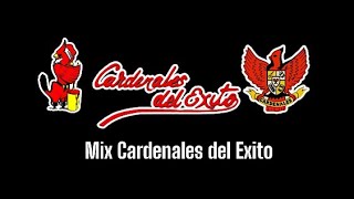 Mix Cardenales del Exito  Casette [upl. by Ricker]