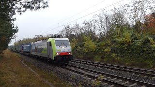 Güterverkehr Schiene 🚇 Bergstraße 📹 PfungstadtBickenbach 📹 1112024 [upl. by Pizor]