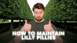 Avoid Bare Patches Secrets to Maintaining Lilly Pillies [upl. by Yelik]