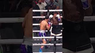 Gervonta Davis vs Rolando Romero boxing tysonholyfield ufc evanderholyfield mma joshuawilder [upl. by Aiclid]