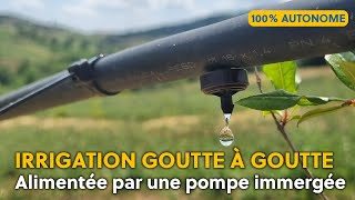 POMPAGE SOLAIRE POUR LIRRIGATION EN GOUTTE A GOUTTE [upl. by Anisor]