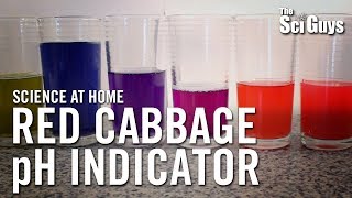 The Sci Guys Science at Home  SE2  EP4 Red Cabbage pH Indicator  Acid Base Indicator [upl. by Beichner936]