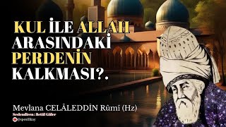 Kul ile Allah Arasındaki Perdenin Kalkması  Mevlana Celaleddin Rumi Sesli Kitap [upl. by Enela]