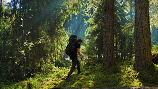 Solo Hiking Sörmlandsleden Trail Sweden [upl. by Avigdor]