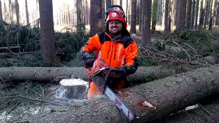 Husqvarna 572XP Chain Saw Easy and Fast Cutting Tree [upl. by Llehsyar]