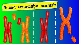 Mutations chromosomiques structurales Les 5 types expliqués en détail [upl. by Hserus]