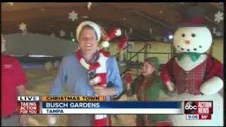 Christmas Land  Busch Gardens  Snow [upl. by Dahle]