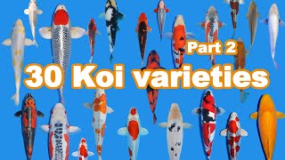 30 Koi Fish varieties types and characteristics part 2 [upl. by Georgi]