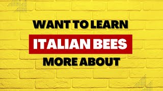 Why Beekeepers Most Often Chose Italian Honeybees [upl. by Galer]