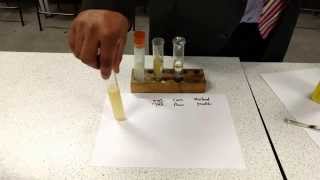 Emulsion stability test [upl. by Noirad2]