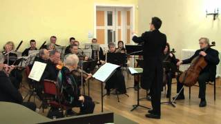 Teifi Chamber Orchestra [upl. by Assirk]