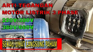 ARTI TEGANGAN MOTOR LISTRIK 3 PHASE 220V380V DAN 380V660V [upl. by Chenee]