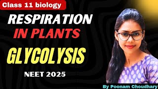 GLYCOLYSIS Respiration in plants  class 11 biology  part 2  neet 2025  Poonam Choudhary [upl. by Dasya]