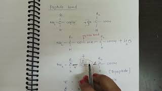 Ramachandran plot [upl. by Parik]