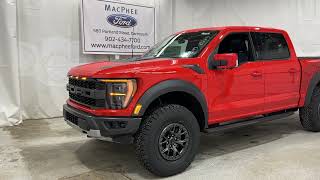 Code Orange 2021 Ford F150 RAPTOR 37 PACKAGE Review  MacPhee Ford [upl. by Oppen]