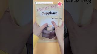 Adopt me  Capybara blindbag 입양하세요 카피바라 블라인드백 adoptme capybara blindbag papercraft 카피바라 종이놀이 [upl. by Enelak516]