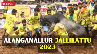 Alanganallur Jallikattu LIVE  Bull Taming Festival At Alanganallur Madurai In Tamil Nadu LIVE N18L [upl. by Engedi]