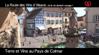 Terre et Vins au Pays de Colmar  Route des Vins dAlsace [upl. by Assiren]