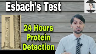 Esbachs Test  Practical  Quantitative Estimation of Albumin in Urine [upl. by Oicelem]