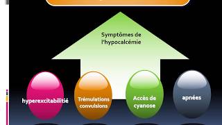 formation accélérée pour débutant en PEDIATRIE  cours 3 HYPOCALCEMIE chez le nouveau né [upl. by Yllier]