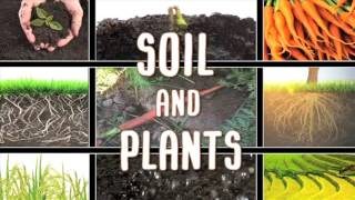 All About soil [upl. by Gazzo]