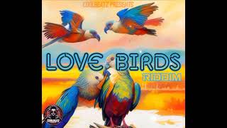 LOVE BIRDS AFRO x ZIMDANCEHALL RIDDIM prod by Coolbeatz 263 78 023 2016 [upl. by Silberman213]