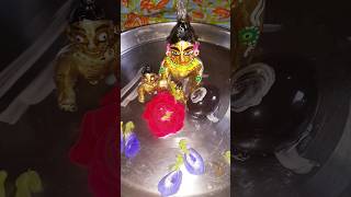 laddugopal ji ka subhah subhah shorts krishna youtubeshorts viralvideo [upl. by Paterson]