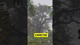 Hurricane Watch UpdateMajor Storm Approaching FloridaBe PreparedHurricaneWatch FloridaHurricane [upl. by Ennagem]