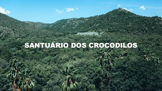 SANTUÁRIO DOS CROCODILOS [upl. by Edorej]