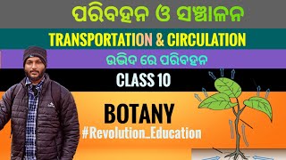 Transportation and Circulation in plants  Class 10 botany chapter3 in odia [upl. by Meehyrb]