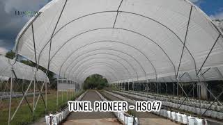 Haygrove Túnel Pioneer HS047 [upl. by Bohaty]