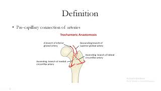 Concept of anastomosis [upl. by Auguste212]