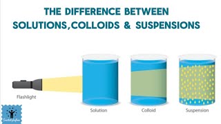 How to differentiate between solution colloid and suspension  Video you need to watch  chemistry [upl. by Arley]