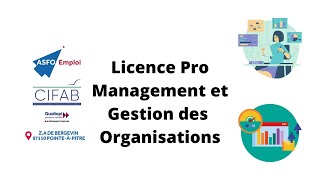 Licence Pro Management et Gestion des Organisations [upl. by Hardan]