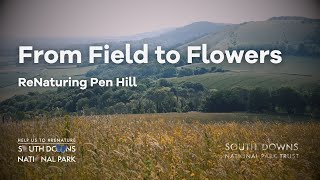 From Field to Flowers ReNaturing Pen Hill [upl. by Lauraine]