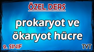 12 Hücre  Prokaryot ve Ökaryot  Özel Ders 9 Sınıf [upl. by Ahsienauq921]