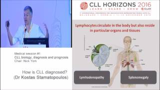 CLL Horizons 2016 How is CLL Diagnosed Dr Kostas Stamatopoulos [upl. by Tyoh49]