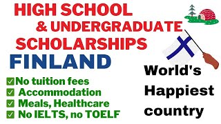 Scholarships in Finland high school then undergraduate study [upl. by Aillicirp464]