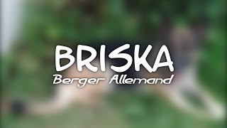 Briska Berger Allemand [upl. by Arhat]