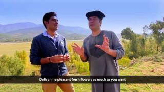 Pashto New HD Song Ka Lare Bajawar Ta 2015 By Bakhtiar Khattak [upl. by Moynahan]